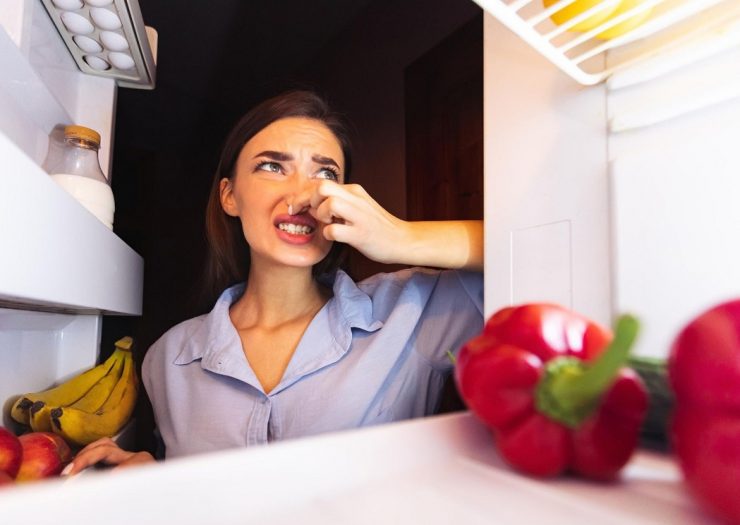 eliminar o mau cheiro do frigorifico