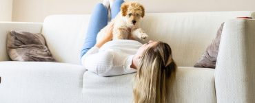 caes para apartamento