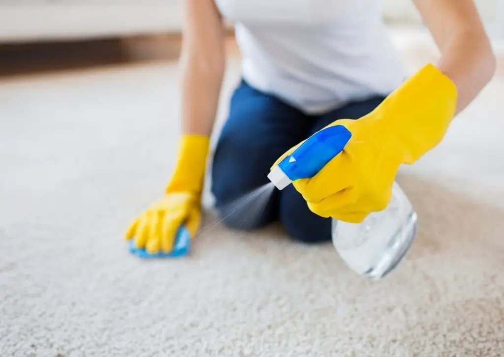 remover pastilha elastica das carpetes