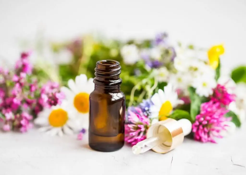 oleos essenciais usados na aromaterapia