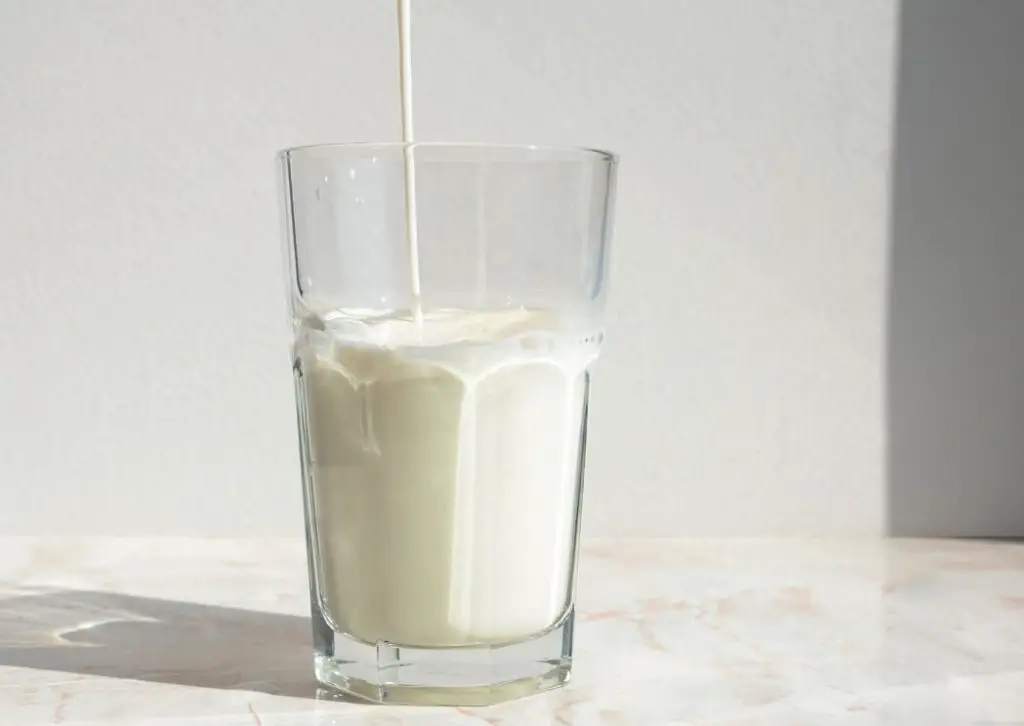 viver com a intolerancia a lactose