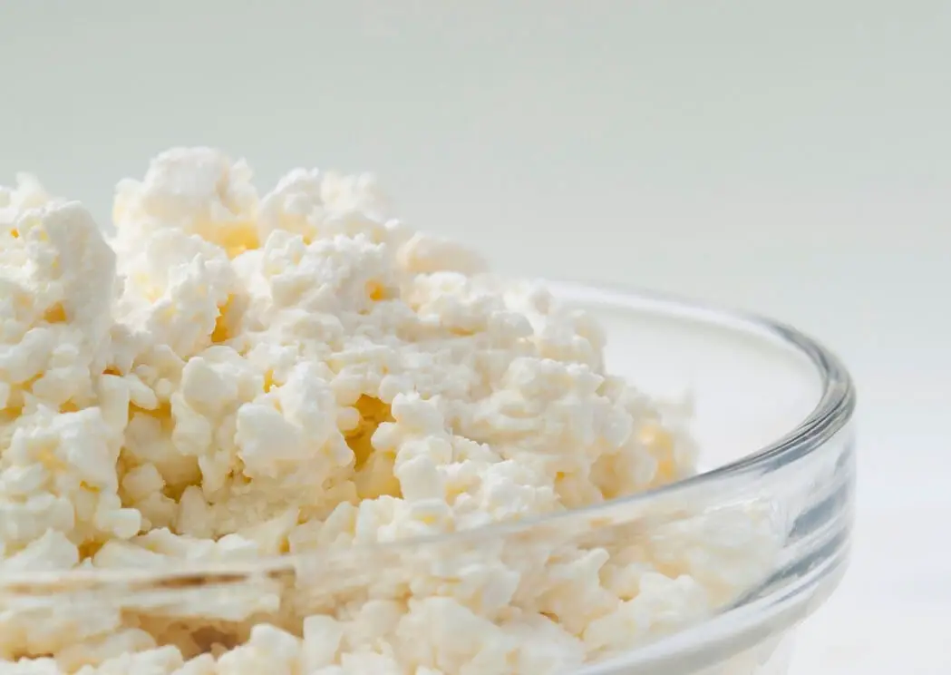 Queijo quark benefícios, utilizações, receitas e cuidados