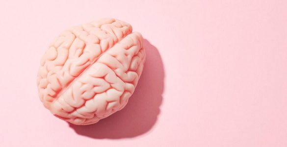 estimulacao cognitiva