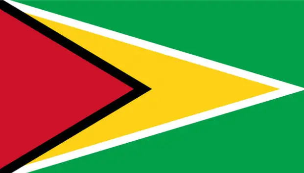 Bandeira-da-Guiana-trabalhador.pt