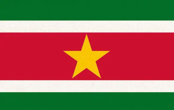 Bandeira-do-Suriname-trabalhador.pt